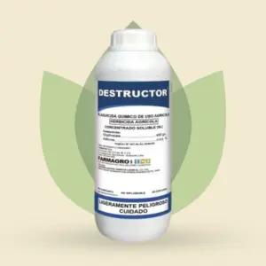 Destructor