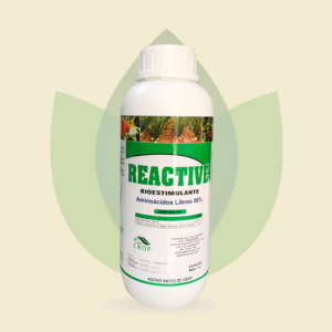 Reactive Frasco 1L