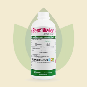 Best Water Frasco 1L