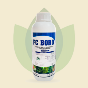 FC Boro Frasco 1L