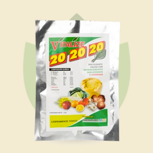 Vitalize 20-20-20  1kg