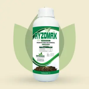 Enraizador Ryzomax