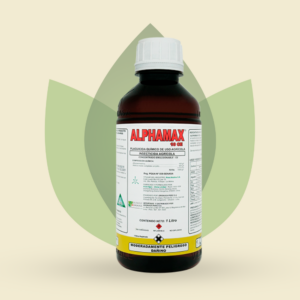 Alphamax 10 CE